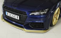 Rieger Tuning Spoilerschwert WL SG passend für Audi TT 8S