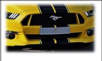 Frontgrill Racelook Abbes passend für Ford  Mustang LAE