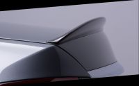 Lorinser Carbon Hecklippe passend für Mercedes E-Klasse W213