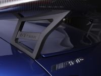 Piecha Heckflügel passend für Mercedes AMG GT W190