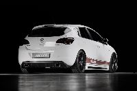 Seitenschweller mit Schacht und Ausschnitt Carbon-Look Rieger Tuning passend für Opel Astra J